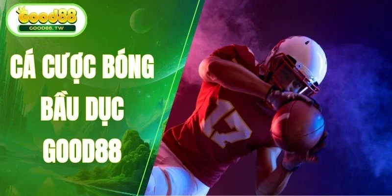 Hội viên cảm nhận như thế nào sau khi trải nghiệm?