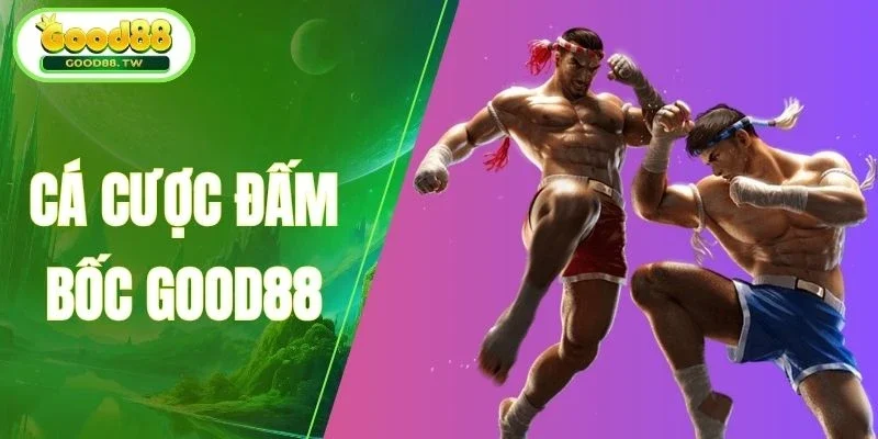 Review từ người cá cược đấm bốc