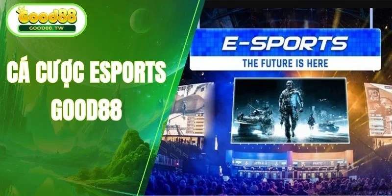 cá cược esports