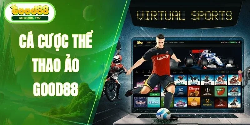 Đánh giá thực tế về trải nghiệm của hội viên