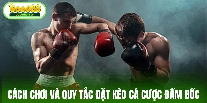 Cách đặt kèo cá cược đấm bốc Good88
