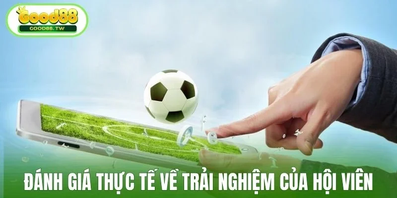 Đánh giá thực tế về trải nghiệm của hội viên