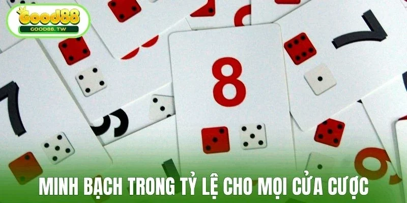 Minh bạch trong tỷ lệ trả thưởng cho mọi cửa cược