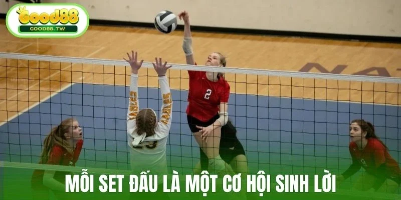 Mỗi set đấu là một cơ hội sinh lời