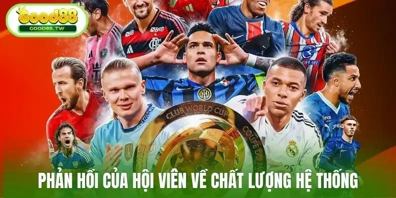 Phản hồi của hội viên về chất lượng hệ thống