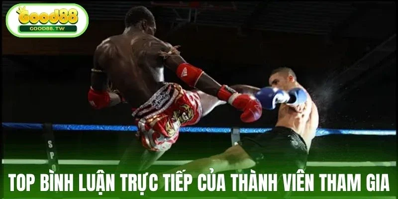 Review từ người cá cược đấm bốc