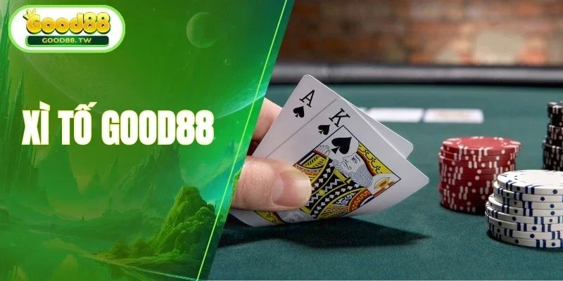 Tổng hợp các đánh giá từ hội viên mới